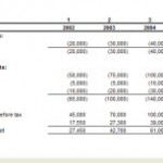 Adjusted Financial Statements