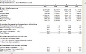 Z-Score Risk Assessment